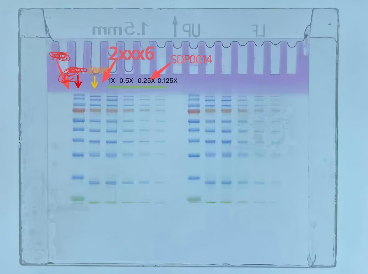 26616与SDP0014对比.jpg